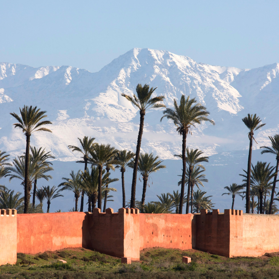 8-day Yoga  Retreat: Morocco 21-28 Sept. 2024